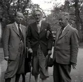Överjägmästare Häggström, Växjö, jägmästare P.G. Arne och stadsingenjör Smedberg.