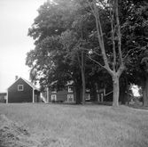 Vistena Brunnsgård 1951