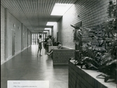 Västerås, Centrallasarettet.
Sjuksköterskeskolan, 1966.