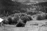 Utsikt mot söder över markerna vid Siggamakk, väster om Rännberget, Östmark.