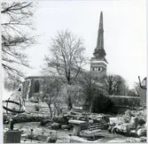 Västerås.
Botaniska trädgården mot Domkyrkan.