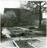 Västerås.
Botaniska trädgården mot Stadsbiblioteket.