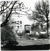 Botaniska trädgården mot Stadsbiblioteket.