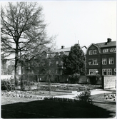 Västerås.
Botaniska trädgården mot Vasagatan.