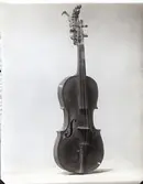 Fiol, Viola d'amour.