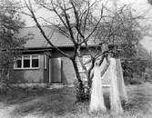 Bror Vilhelmssons stuga, 1980-tal