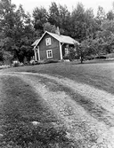 Fagerbjörka i Hovsta, 1981