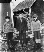 Pojkar vid vedhög i Minneslust i Hovsta, 1930-tal