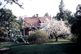 Gården Björkhagen med trädgård i Yxtabacken i Hovsta, 1981