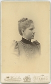 Porträtt på Fru Tyra Claeson född Andersson år 1870, gift med fabrikör Ernst Claeson. Uddebo Tranemo kommun.