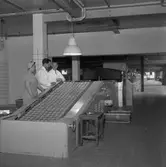 Kexfabriken. Örebro Kexfabrik. 
23 juli 1959.