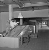 Kexfabriken. Örebro Kexfabrik. 
23 juli 1959.