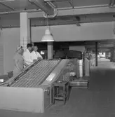 Kexfabriken. Örebro Kexfabrik. 
23 juli 1959.