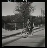 564 Vårgårda Havregryn