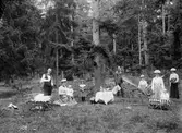 Skogsutflykt anno 1902