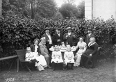 Familjen Asp 1902