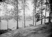 Baronbackarna före byggnation, 1950-09-29