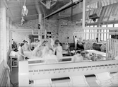Konsumtvätten i Rosta, 1950-05-23