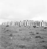 Byggnation av stjärnhusen, 1948