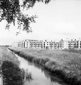 Rostabäcken vid Stjärnhusen, 1948