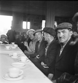 Plåtslagare på taklagsfest, 1948-06-03