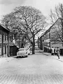 Bondegatan mot öster från Drottninggatan, 1955