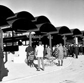 Invigning av Vivalla Invigning Vivalla centrum, 1968-1970