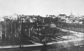 Utsikt österut från tornet på villa Haganäs, ca 1900