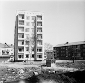 Höghusen vid Längbrotorg, 1954