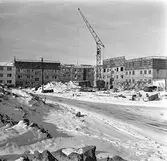 Baronbackarna byggs, februari 1955