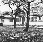 Café National, 1950-tal