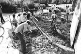 Trädgårdsarbete Stjärnhusen, 1970-tal