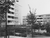 Innergård Drottninggatan-Köpmangatan 1970-tal