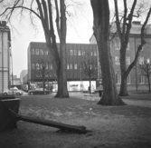 Vänersborg. Vy från Plantaget mot Kungsgatan och Domus