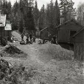 Mellan några timrade hus i Trolldalen vilar de som slutfört en orienteringstävling i Växbo den 26 maj 1957.