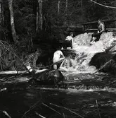 Fyra män badar i Linklappsfallet vid Trolldalen i Växbo den 26 maj 1957.