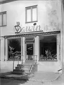 Darwins butik