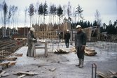 Byggarbetare sågar och monterar väggar i Brickebacken, 1968