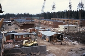 Olika huskroppar i Brickebacken, 1968