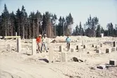 Byggarbetsplats i Brickebacken, 1968