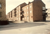 Hyreshus i kvarteret Mållan, 1982