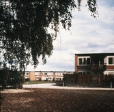Hyreshus i Vivalla, 1968