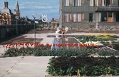 Plantering på Krämarens terass, ca 1965