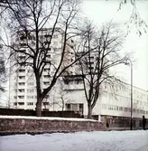 Höghus i kvarteret Tunnbindaren, ca1965