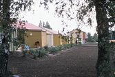 Häckplantor vid radhus i Kilsmo, 1970-tal