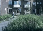 Trädgårdsarbete vid Östra Vintergatan 2, 4, 1980