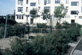Lekplats på Tornfalkgatan 19, 1980