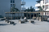 Uteplats vid Tornfalkgatan 31,29, 1980
