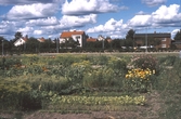 Koloniområde i Västhaga, 1970-tal