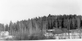 Gården Gröndal i Hovsta, 1972